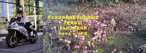 мескалин Нефтекумск