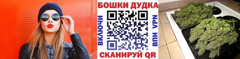 МАРИХУАНА конопля  купить наркотики цена  Щёкино 